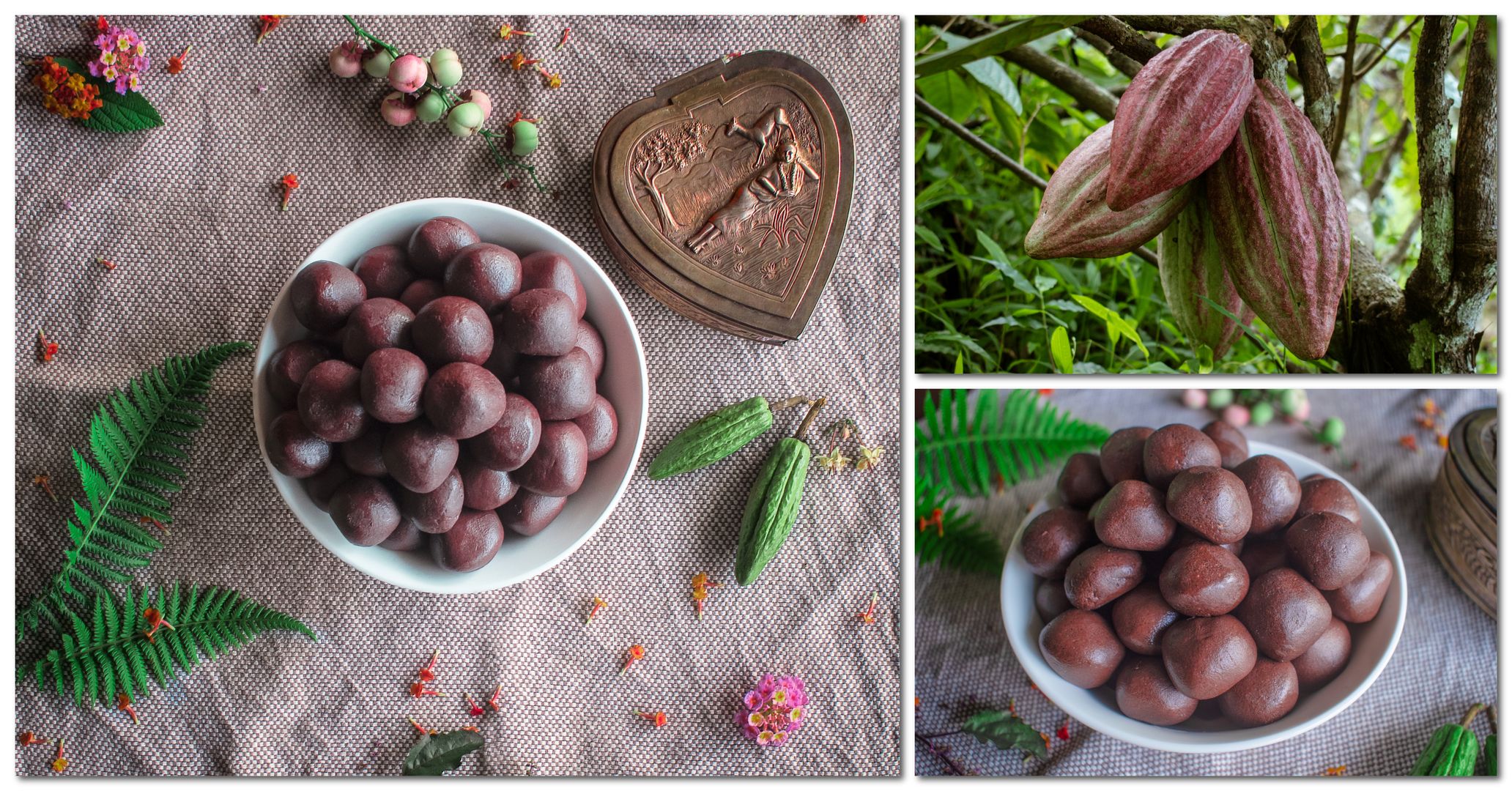 Pure Homemade Chocolates and Cocoa Fruits